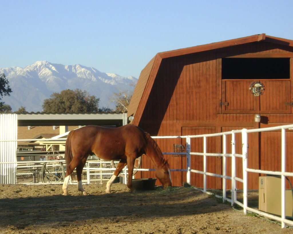 Horse and Barn in Norco, Horsetown USA